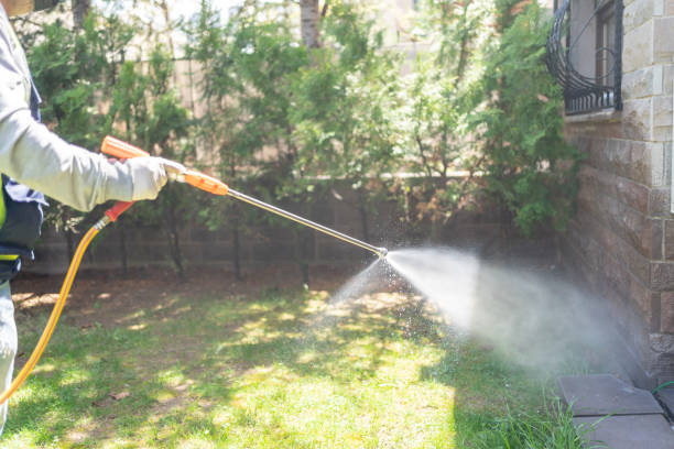 Best Pest Control Near Me in Red Wing, MN