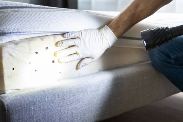 Best Pest Removal Services  in Red Wing, MN