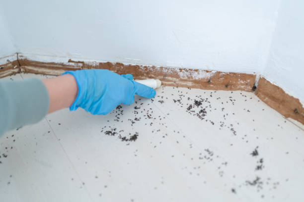 Red Wing, MN Pest Control Company